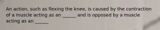 An action, such as flexing the knee, is caused by the contraction of a muscle acting as an ______ and is opposed by a muscle acting as an ______