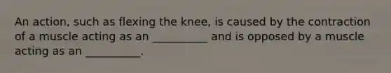 An action, such as flexing the knee, is caused by the contraction of a muscle acting as an __________ and is opposed by a muscle acting as an __________.