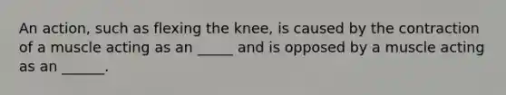 An action, such as flexing the knee, is caused by the contraction of a muscle acting as an _____ and is opposed by a muscle acting as an ______.