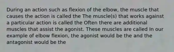 During an action such as flexion of the elbow, the muscle that causes the action is called the The muscle(s) that works against a particular action is called the Often there are additional muscles that assist the agonist. These muscles are called In our example of elbow flexion, the agonist would be the and the antagonist would be the