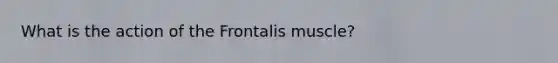 What is the action of the Frontalis muscle?