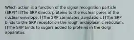 Which action is a function of the signal recognition particle (SRP)? []The SRP directs proteins to the nuclear pores of the nuclear envelope. []The SRP stimulates translation. []The SRP binds to the SRP receptor on the rough endoplasmic reticulum. []The SRP binds to sugars added to proteins in the Golgi apparatus.