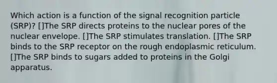 Which action is a function of the signal recognition particle (SRP)? []The SRP directs proteins to the nuclear pores of the nuclear envelope. []The SRP stimulates translation. []The SRP binds to the SRP receptor on the rough endoplasmic reticulum. []The SRP binds to sugars added to proteins in the Golgi apparatus.