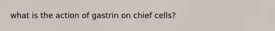 what is the action of gastrin on chief cells?