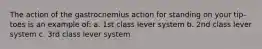 The action of the gastrocnemius action for standing on your tip-toes is an example of: a. 1st class lever system b. 2nd class lever system c. 3rd class lever system