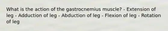 What is the action of the gastrocnemius muscle? - Extension of leg - Adduction of leg - Abduction of leg - Flexion of leg - Rotation of leg