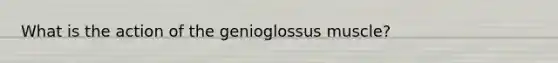 What is the action of the genioglossus muscle?