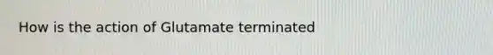 How is the action of Glutamate terminated