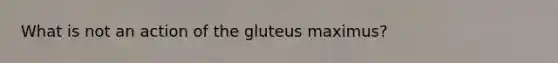 What is not an action of the gluteus maximus?