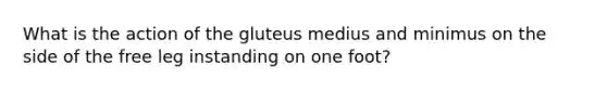 What is the action of the gluteus medius and minimus on the side of the free leg instanding on one foot?