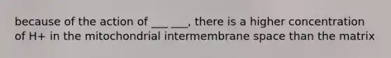 because of the action of ___ ___, there is a higher concentration of H+ in the mitochondrial intermembrane space than the matrix