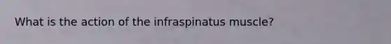 What is the action of the infraspinatus muscle?