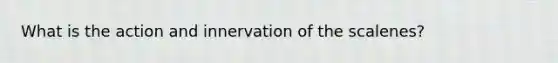 What is the action and innervation of the scalenes?