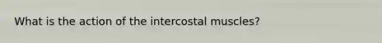 What is the action of the intercostal muscles?