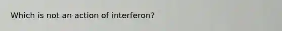 Which is not an action of interferon?