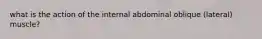 what is the action of the internal abdominal oblique (lateral) muscle?