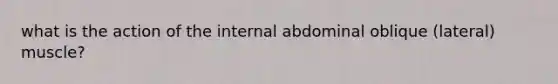 what is the action of the internal abdominal oblique (lateral) muscle?