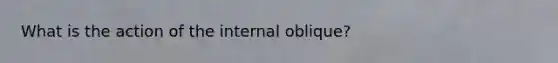 What is the action of the internal oblique?