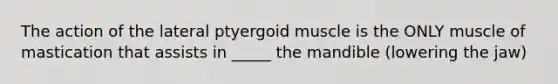 The action of the lateral ptyergoid muscle is the ONLY muscle of mastication that assists in _____ the mandible (lowering the jaw)