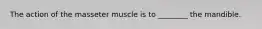 The action of the masseter muscle is to ________ the mandible.