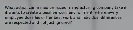 What action can a medium-sized manufacturing company take if it wants to create a positive work environment; where every employee does his or her best work and individual differences are respected and not just ignored?