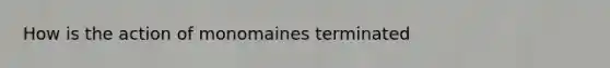 How is the action of monomaines terminated