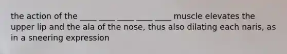 the action of the ____ ____ ____ ____ ____ muscle elevates the upper lip and the ala of the nose, thus also dilating each naris, as in a sneering expression