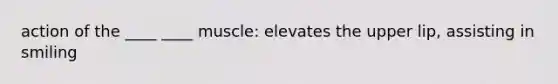 action of the ____ ____ muscle: elevates the upper lip, assisting in smiling