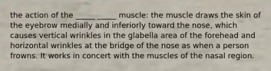 the action of the _____ _____ muscle: the muscle draws the skin of the eyebrow medially and inferiorly toward the nose, which causes vertical wrinkles in the glabella area of the forehead and horizontal wrinkles at the bridge of the nose as when a person frowns. It works in concert with the muscles of the nasal region.