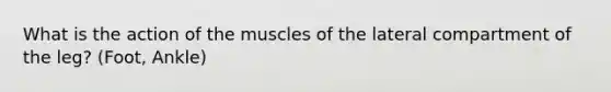 What is the action of the muscles of the lateral compartment of the leg? (Foot, Ankle)