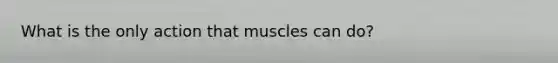 What is the only action that muscles can do?