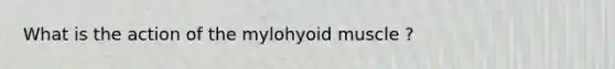 What is the action of the mylohyoid muscle ?