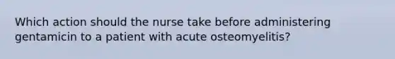 Which action should the nurse take before administering gentamicin to a patient with acute osteomyelitis?