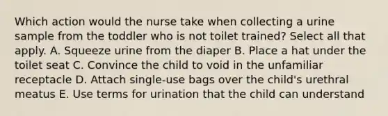 Which action would the nurse take when collecting a urine sample from the toddler who is not toilet trained? Select all that apply. A. Squeeze urine from the diaper B. Place a hat under the toilet seat C. Convince the child to void in the unfamiliar receptacle D. Attach single-use bags over the child's urethral meatus E. Use terms for urination that the child can understand