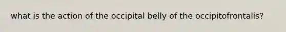 what is the action of the occipital belly of the occipitofrontalis?