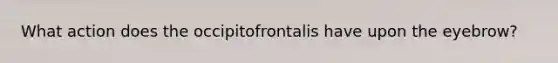 What action does the occipitofrontalis have upon the eyebrow?