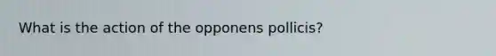 What is the action of the opponens pollicis?