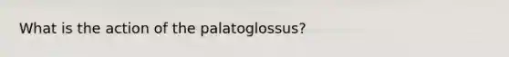 What is the action of the palatoglossus?