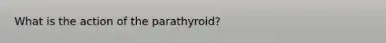 What is the action of the parathyroid?