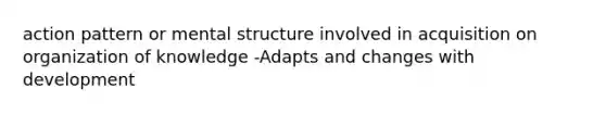 action pattern or mental structure involved in acquisition on organization of knowledge -Adapts and changes with development