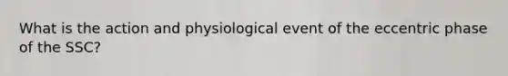 What is the action and physiological event of the eccentric phase of the SSC?