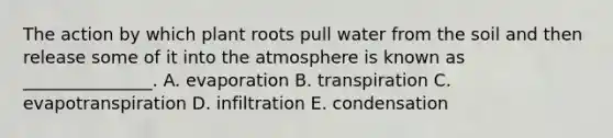 The action by which plant roots pull water from the soil and then release some of it into the atmosphere is known as _______________. A. evaporation B. transpiration C. evapotranspiration D. infiltration E. condensation