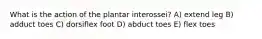 What is the action of the plantar interossei? A) extend leg B) adduct toes C) dorsiflex foot D) abduct toes E) flex toes