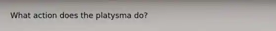 What action does the platysma do?
