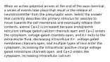 When an action potential arrives at the end of the axon terminal, a series of events take place that result in the release of neurotransmitter from the presynaptic axon. Select the answer that correctly describes the primary stimulus for vesicles to move towards the cell membrane and eventually release their contents. axonal Ca+2 is increased because endoplasmic reticulum voltage-gated calcium channels open and Ca+2 enters the cytoplasm. voltage-gated channels open, and K+ exits to the extracellular fluid, decreasing intracellular K+. voltage-gated membrane channels open, and multiple types of ions enter the cytoplasm, increasing the intracellular positive charge voltage-gated membrane channels open, and Ca+2 enters the cytoplasm, increasing intracellular calcium