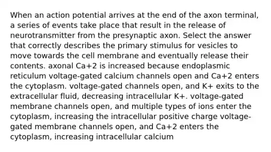 When an action potential arrives at the end of the axon terminal, a series of events take place that result in the release of neurotransmitter from the presynaptic axon. Select the answer that correctly describes the primary stimulus for vesicles to move towards the cell membrane and eventually release their contents. axonal Ca+2 is increased because endoplasmic reticulum voltage-gated calcium channels open and Ca+2 enters the cytoplasm. voltage-gated channels open, and K+ exits to the extracellular fluid, decreasing intracellular K+. voltage-gated membrane channels open, and multiple types of ions enter the cytoplasm, increasing the intracellular positive charge voltage-gated membrane channels open, and Ca+2 enters the cytoplasm, increasing intracellular calcium