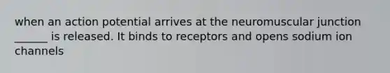 when an action potential arrives at the neuromuscular junction ______ is released. It binds to receptors and opens sodium ion channels