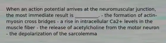 When an action potential arrives at the neuromuscular junction, the most immediate result is __________. - the formation of actin-myosin cross bridges - a rise in intracellular Ca2+ levels in the muscle fiber - the release of acetylcholine from the motor neuron - the depolarization of the sarcolemma