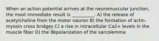 When an action potential arrives at the neuromuscular junction, the most immediate result is __________. A) the release of acetylcholine from the motor neuron B) the formation of actin-myosin cross bridges C) a rise in intracellular Ca2+ levels in the muscle fiber D) the depolarization of the sarcolemma