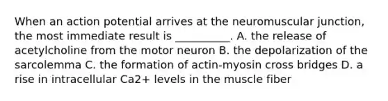 When an action potential arrives at the neuromuscular junction, the most immediate result is __________. A. the release of acetylcholine from the motor neuron B. the depolarization of the sarcolemma C. the formation of actin-myosin cross bridges D. a rise in intracellular Ca2+ levels in the muscle fiber